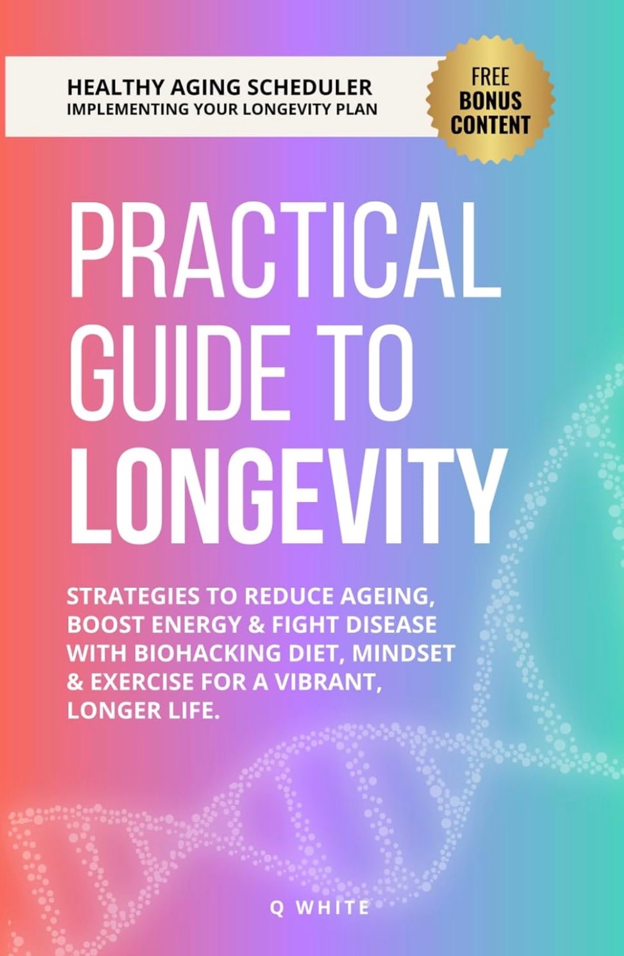 Cover of Practical Guide to Longevity by Q White